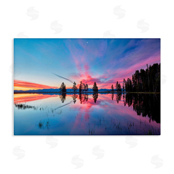 stupell industries Jon Evan | Gull Point At Sunrise Wall Art