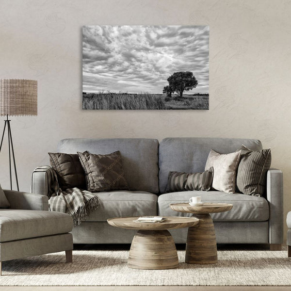 Stupell Industries Jon Evan | The Right Tree Cloudscape Wall Art