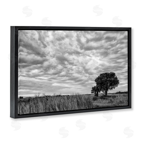 Stupell Industries Jon Evan | The Right Tree Cloudscape Wall Art