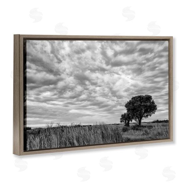 Stupell Industries Jon Evan | The Right Tree Cloudscape Wall Art