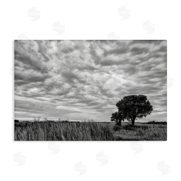 stupell industries Jon Evan | The Right Tree Cloudscape Wall Art