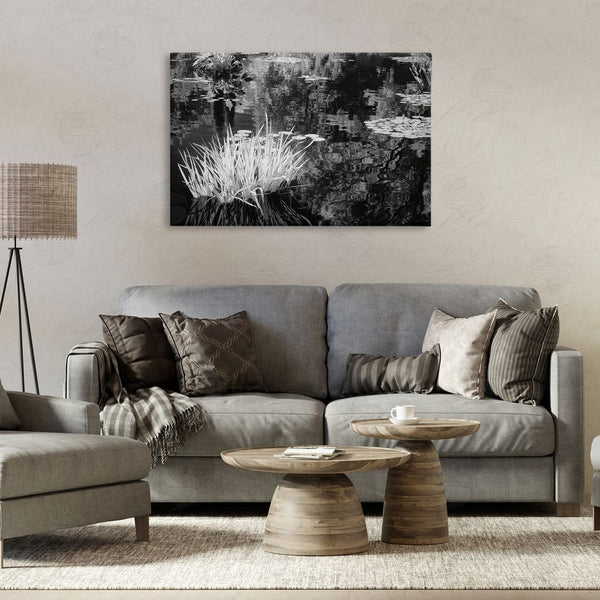 Stupell Industries Jon Evan | Water Grasses In A Pond Wall Art