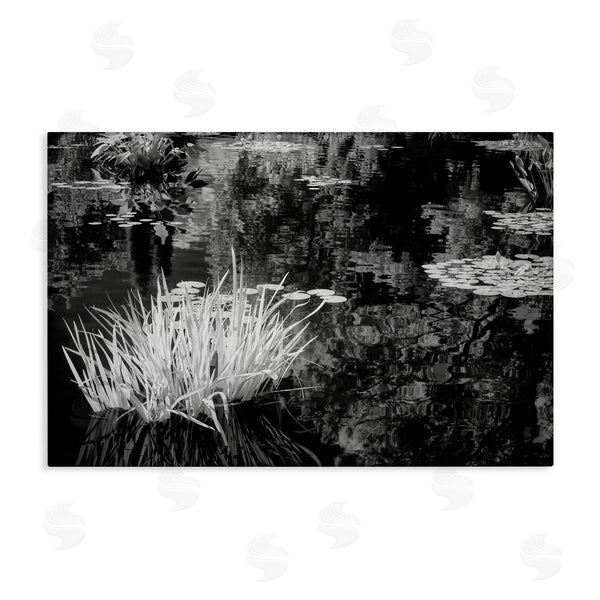 stupell industries Jon Evan | Water Grasses In A Pond Wall Art