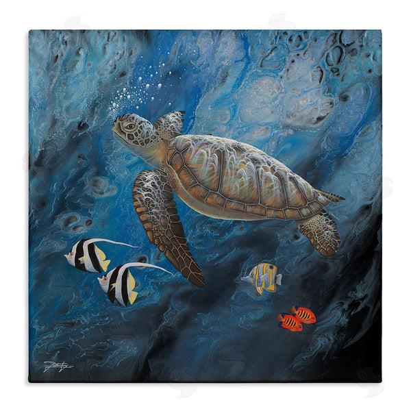 stupell industries Jon Rattenbury | Turtle Sea Life Underwater Ripples Wall Art