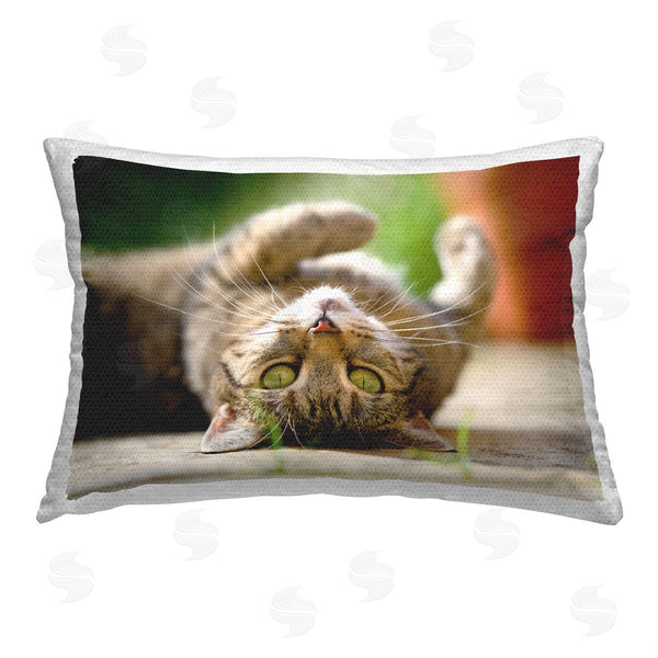 Stupell Industries Jonathan Casey | Cat Laying Upside Down