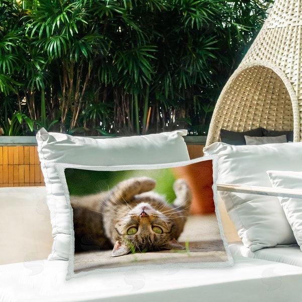 Stupell Industries Jonathan Casey | Cat Laying Upside Down