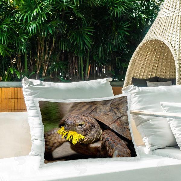 Stupell Industries Jonathan Casey | Turtle Eating Dandelion