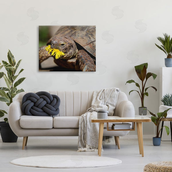 Stupell Industries Jonathan Casey | Turtle Eating Dandelion Wall Art
