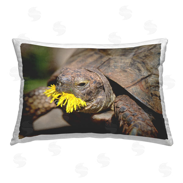 stupell industries Jonathan Casey | Turtle Eating Dandelion