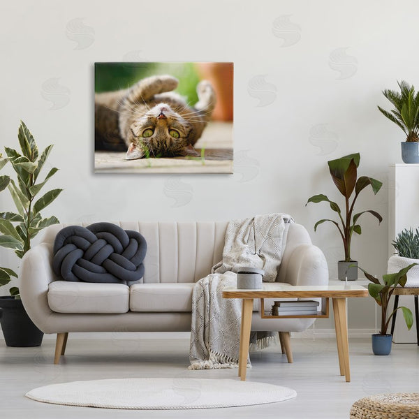 Stupell Industries Jonathan Casey | Upside Down Cat Portrait Wall Art
