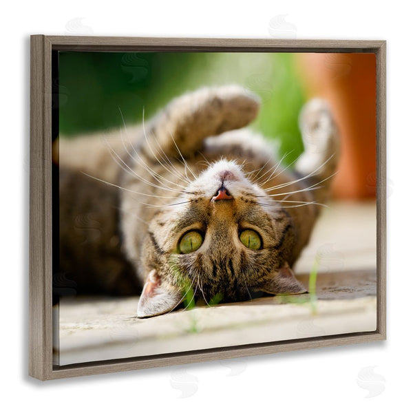 Stupell Industries Jonathan Casey | Upside Down Cat Portrait Wall Art