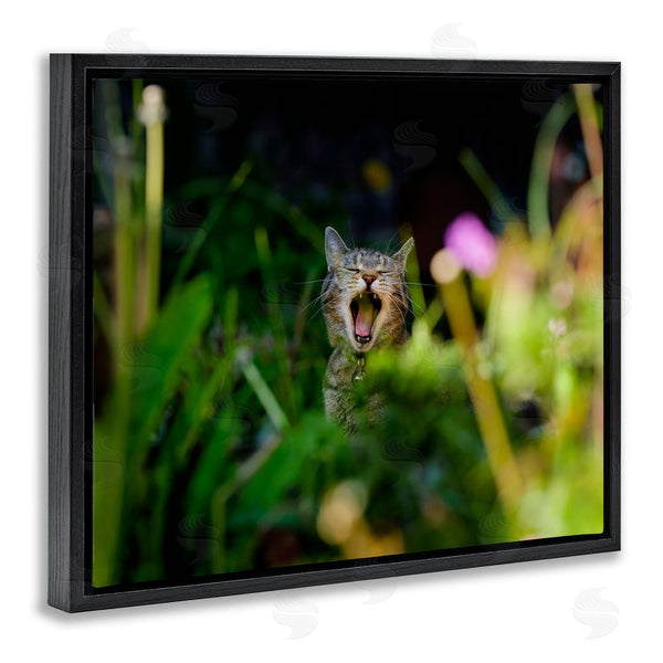 Stupell Industries Jonathan Casey | Yawning Cat In Grass Wall Art