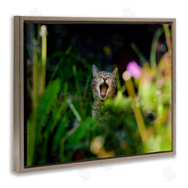 Stupell Industries Jonathan Casey | Yawning Cat In Grass Wall Art