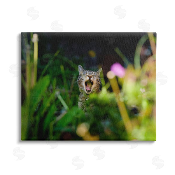 stupell industries Jonathan Casey | Yawning Cat in Grass Wall Art