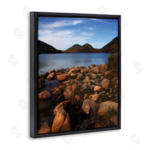 Stupell Industries Joseph Elliott | Acadia Pond Photography Wall Art