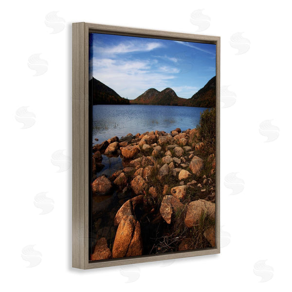 Stupell Industries Joseph Elliott | Acadia Pond Photography Wall Art