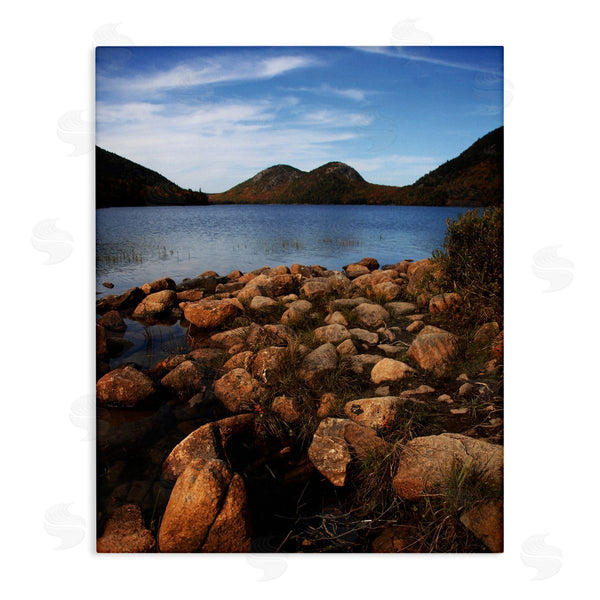 stupell industries Joseph Elliott | Acadia Pond Photography Wall Art