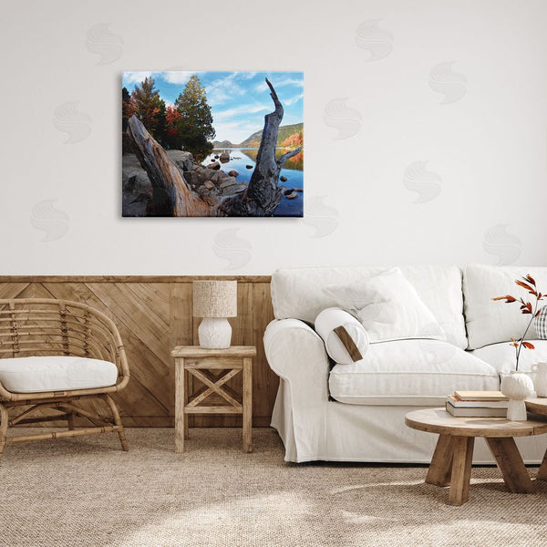 Stupell Industries Joseph Elliott | Autumn Pond Photography Wall Art