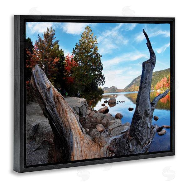 Stupell Industries Joseph Elliott | Autumn Pond Photography Wall Art
