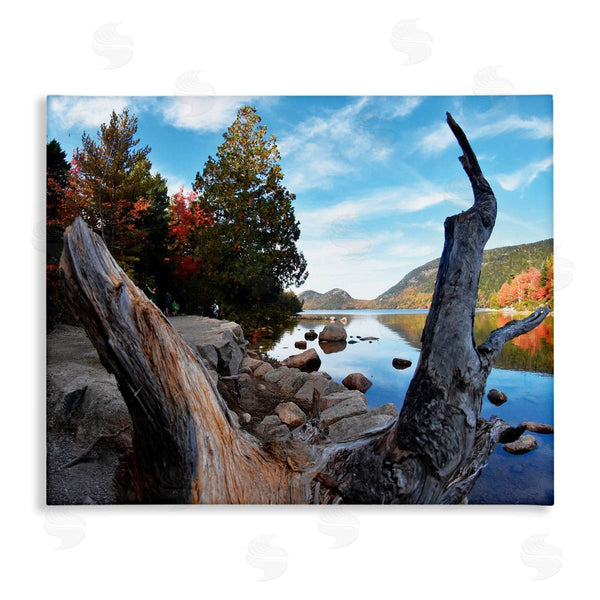 stupell industries Joseph Elliott | Autumn Pond Photography Wall Art