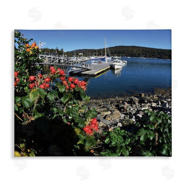 stupell industries Joseph Elliott | Boat Harbor Photography Wall Art
