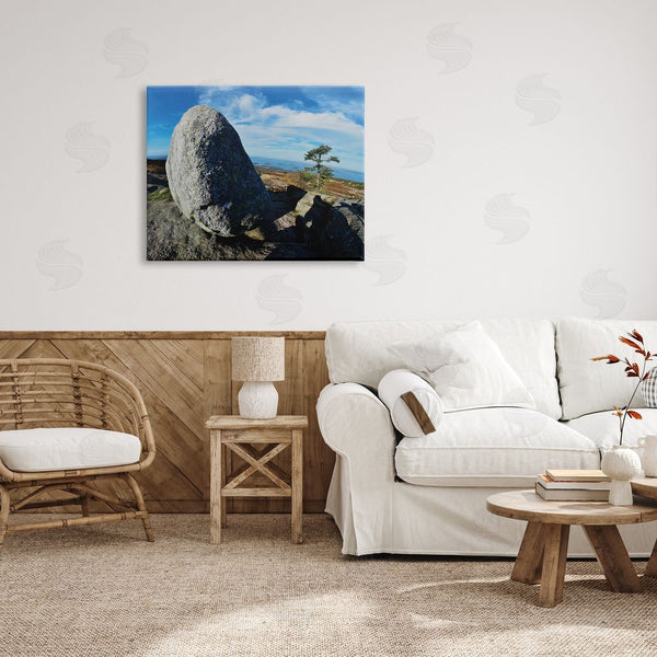 Stupell Industries Joseph Elliott | Mountain View Landscape Wall Art