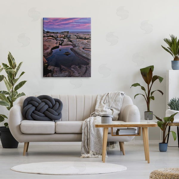 Stupell Industries Joseph Elliott | Tide Pool Landscape Wall Art