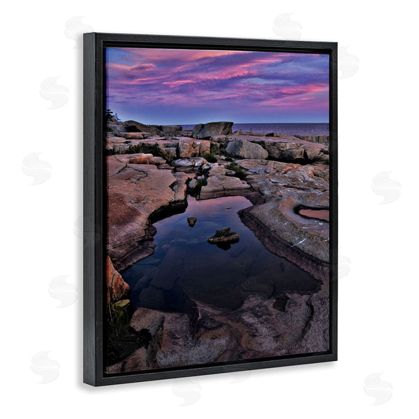 Stupell Industries Joseph Elliott | Tide Pool Landscape Wall Art