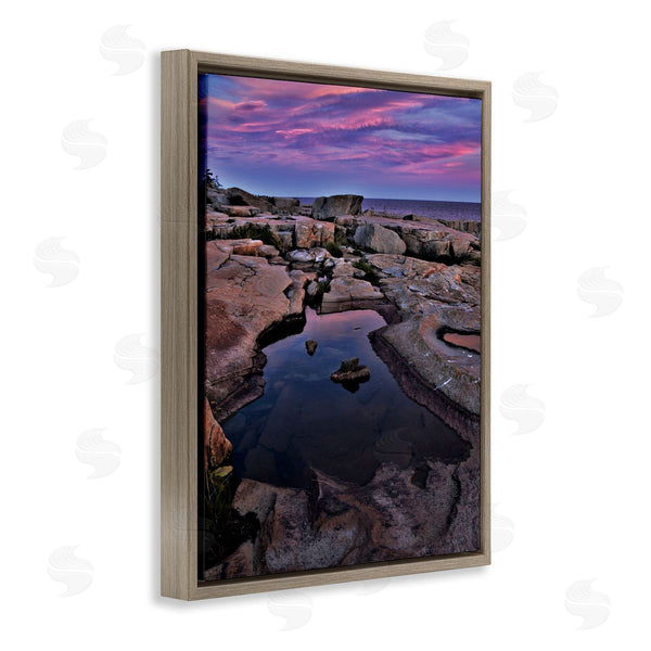 Stupell Industries Joseph Elliott | Tide Pool Landscape Wall Art