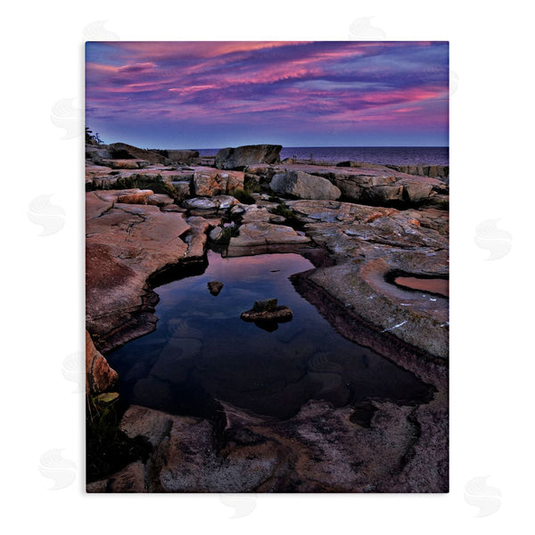 stupell industries Joseph Elliott | Tide Pool Landscape Wall Art