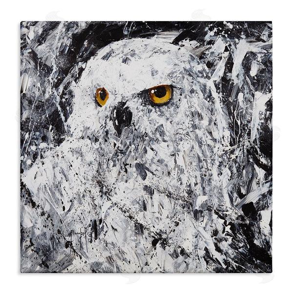 stupell industries Joseph Marshal Foster | Modern Snowy Owl Portrait Wall Art