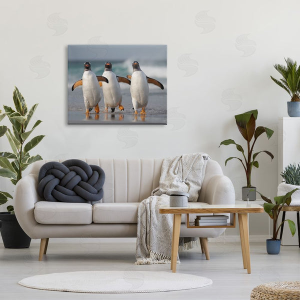 Stupell Industries Joshua Galicki | Penguin Trio On Beach Wall Art