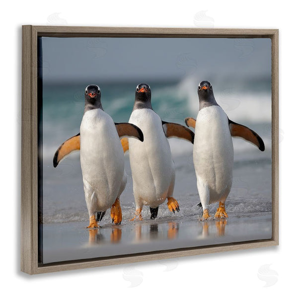 Stupell Industries Joshua Galicki | Penguin Trio On Beach Wall Art