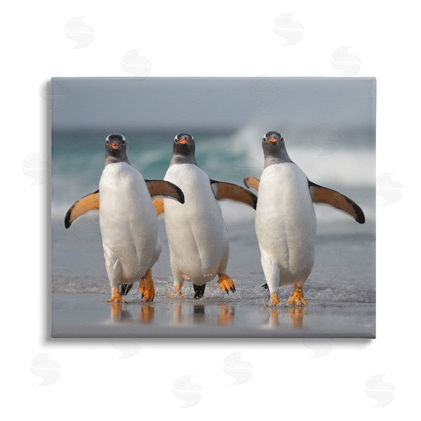 stupell industries Joshua Galicki | Penguin Trio on Beach Wall Art