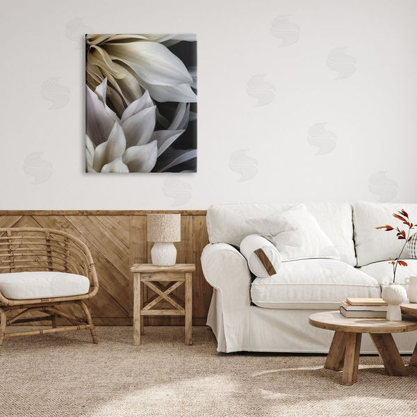 Stupell Industries Judy Stalus | Grey Dahlia Petals Wall Art