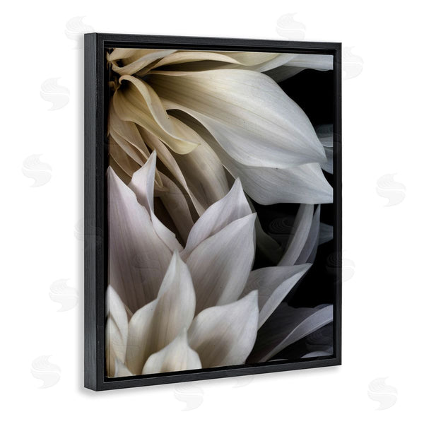 Stupell Industries Judy Stalus | Grey Dahlia Petals Wall Art
