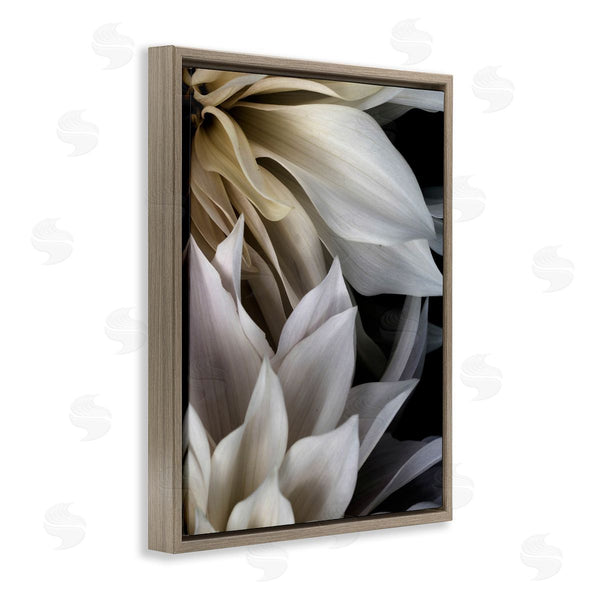 Stupell Industries Judy Stalus | Grey Dahlia Petals Wall Art