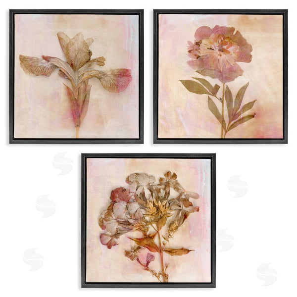Stupell Industries Judy Stalus | Vintage Dried Pink Flowers Wall Art