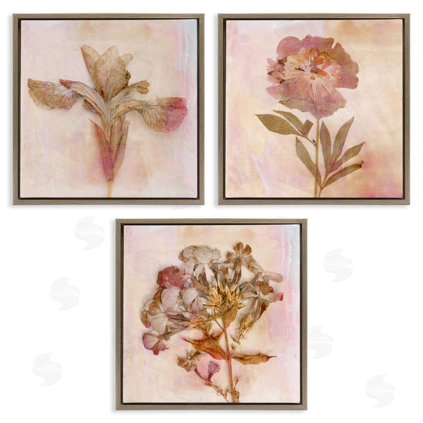Stupell Industries Judy Stalus | Vintage Dried Pink Flowers Wall Art