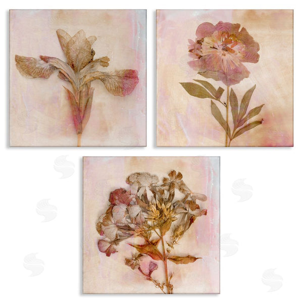 stupell industries Judy Stalus | Vintage Dried Pink Flowers Wall Art