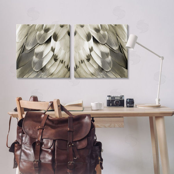 Stupell Industries Julia Bosco | Bird Feathers Vintage View Wall Art