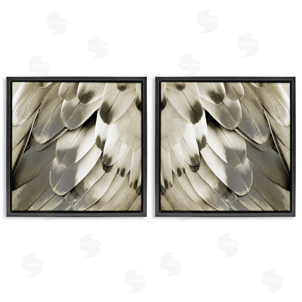 Stupell Industries Julia Bosco | Bird Feathers Vintage View Wall Art