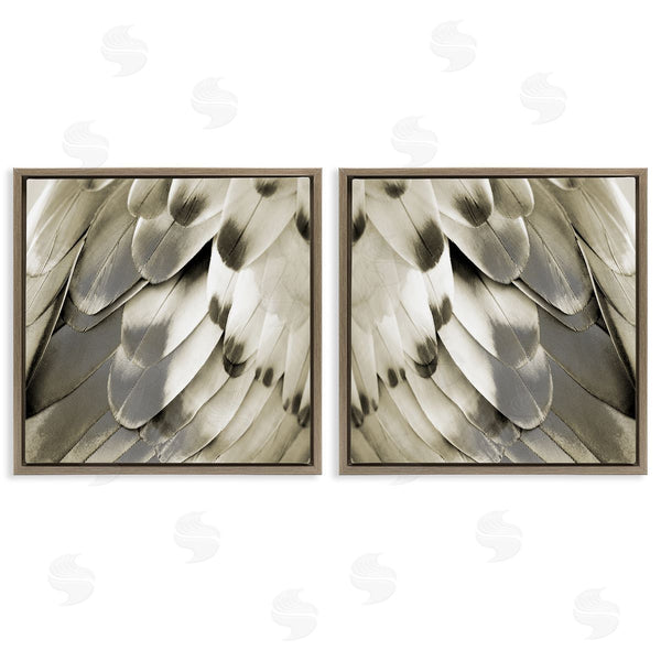 Stupell Industries Julia Bosco | Bird Feathers Vintage View Wall Art