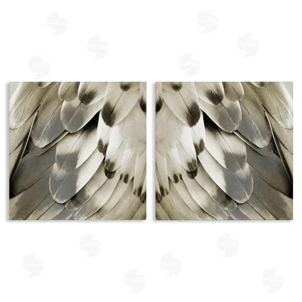 stupell industries Julia Bosco | Bird Feathers Vintage View Wall Art