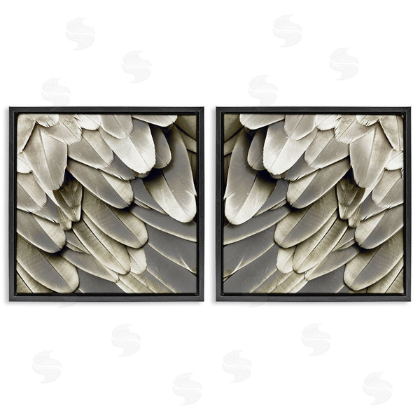 Stupell Industries Julia Bosco | Feathered Bird Wings Lovely Close Up Wall Art
