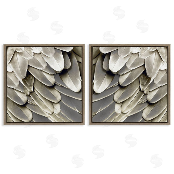 Stupell Industries Julia Bosco | Feathered Bird Wings Lovely Close Up Wall Art