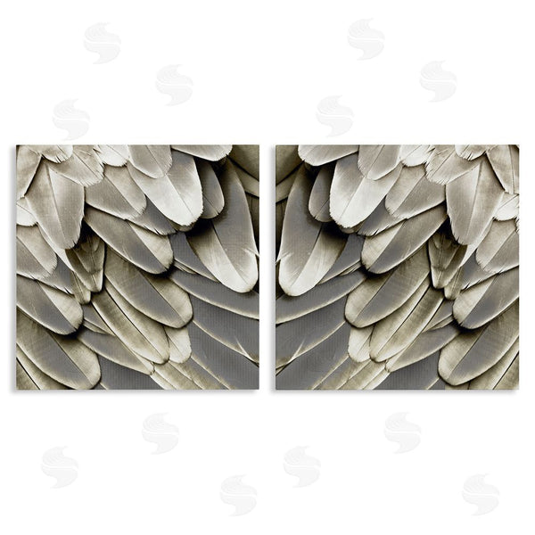 stupell industries Julia Bosco | Feathered Bird Wings Lovely Close Up Wall Art