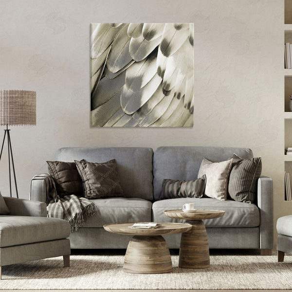 Stupell Industries Julia Bosco | Sleek Feathers Close Up Wall Art