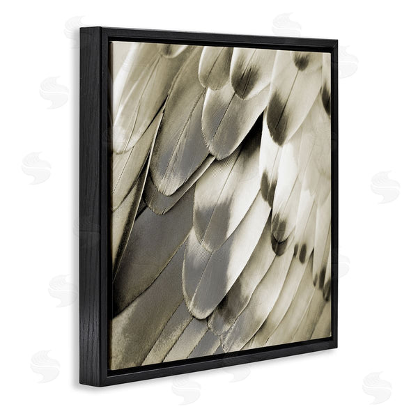 Stupell Industries Julia Bosco | Sleek Feathers Close Up Wall Art