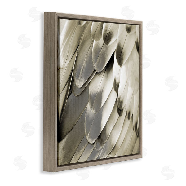 Stupell Industries Julia Bosco | Sleek Feathers Close Up Wall Art